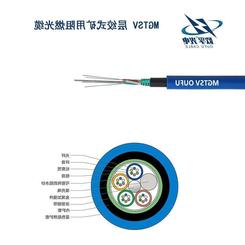 文山壮族苗族自治州MGTSV光缆