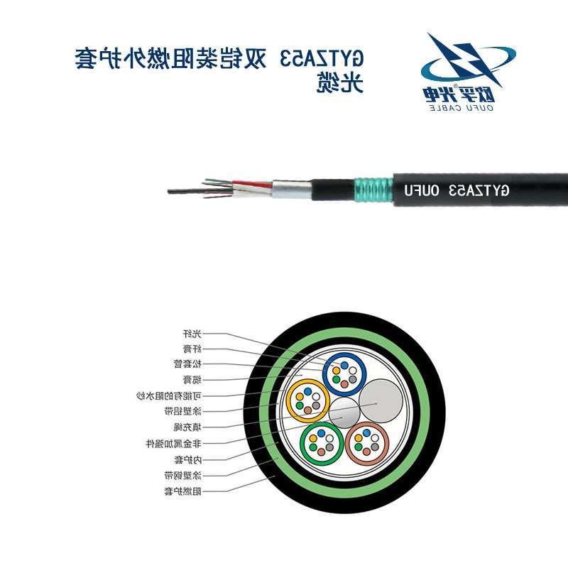 临夏回族自治州GYTZA53光缆